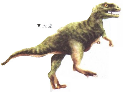 大龙最大的肉食性恐龙之一