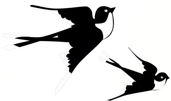 为什么燕子的尾巴像剪刀?
