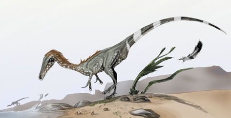 美颌龙是小型肉食性恐龙