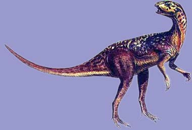异齿龙是鸟脚类恐龙