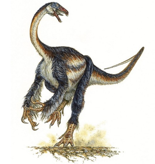 铸镰龙是懒爪龙(Nothronychus)的祖先